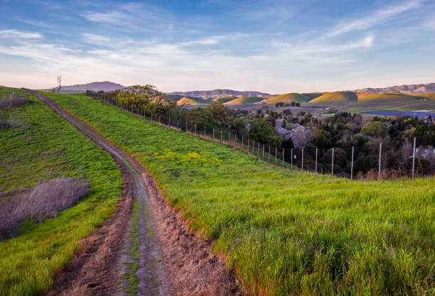 hiking in dublin, ca - san francisco bay area community residential district california imagens e fotografias de stock