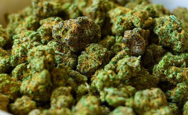 Bowl of Buds at Marijuana Dispensary Bowl of Buds at Marijuana Dispensary -  Closeup details shots of fresh kind buds. cannabis store photos stock pictures, royalty-free photos & images