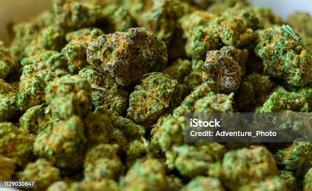 Bowl Of Buds At Marijuana Dispensary Stock Photo - Download Image Now - Cannabis Plant, Marijuana - Herbal Cannabis, Bud