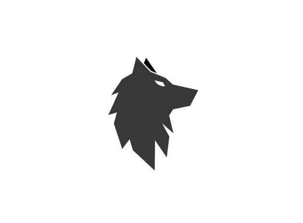 illustrations, cliparts, dessins animés et icônes de loup à tête noire ou fox pour logo - loup
