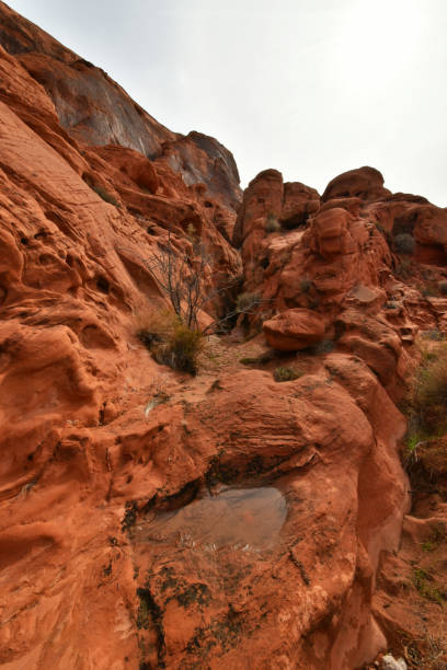 istock Moapa Valley, Nevada - 2019_01.08: Psychedelic winter desert above Valley of Fire 1129042606