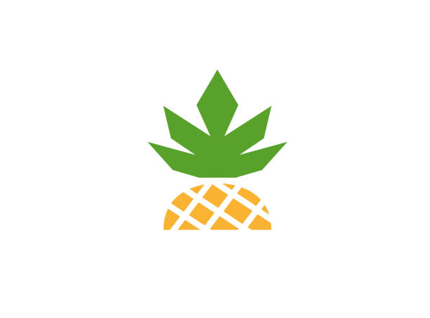 Half ananas fresh fruit for logo Half ananas fresh fruit for logo ananas stock illustrations