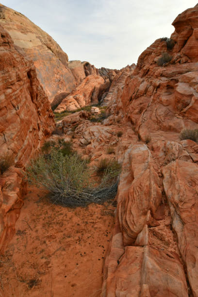 istock Moapa Valley, Nevada - 2019_01.08: Psychedelic winter desert above Valley of Fire 1129043363
