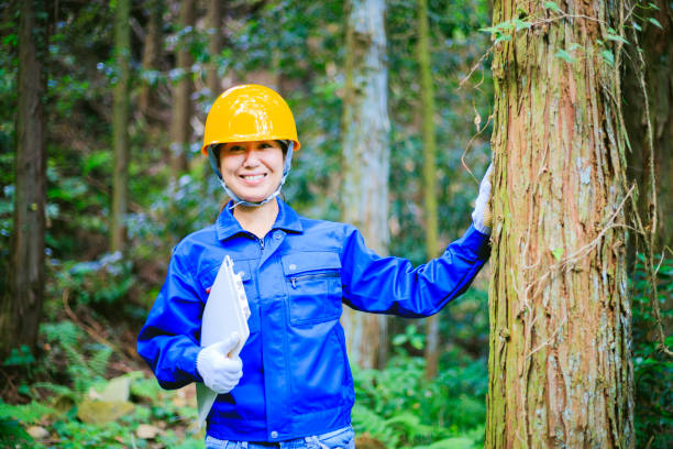 Asian women working with forestry