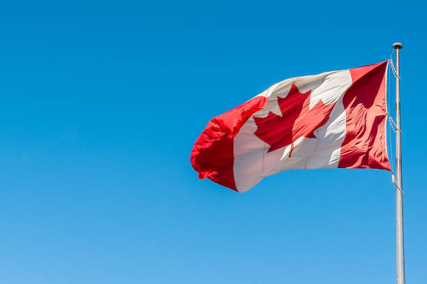 kanadische flagge im wind - canadian flag canada flag freedom stock-fotos und bilder