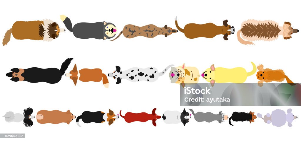 dogs border set Dog stock vector