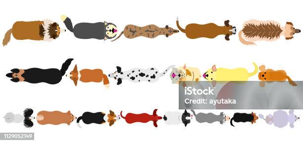 Dogs Border Set Stock Illustration - Download Image Now - Dog, High Angle View, Directly Above