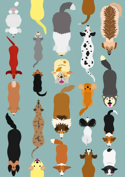 Vector illustration of dogs seamless pattern background