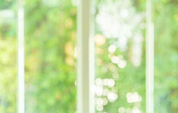 istock abstract blurred clean nature forest with sunny and bokeh light in public park  panoramic horizontal background 1129053006