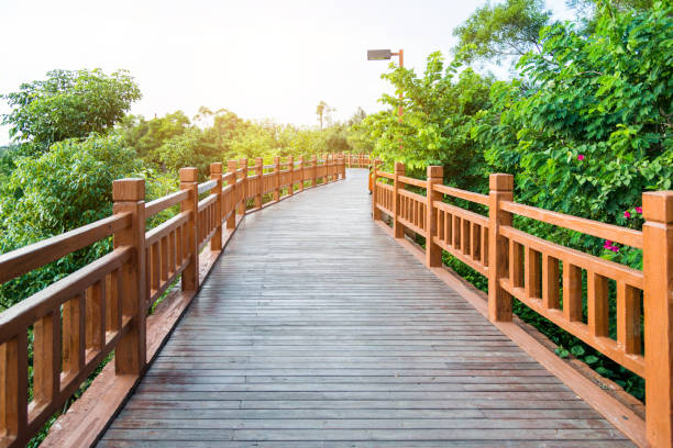 istock Wooden bridge through the forest 1129058057