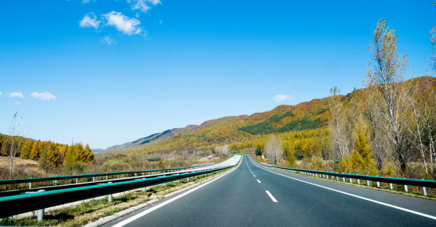 istock Asphalt highway in autumn forest 1129066027
