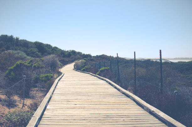 istock Simple Boardwalk at California State Park 1129068140