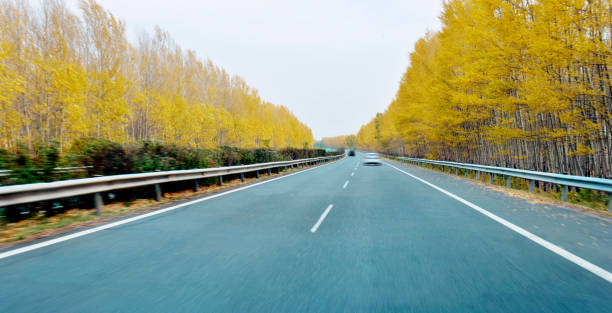 Car on asphalt road in autumn day
