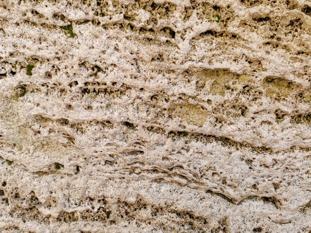 istock Brown grungy wall Great textures for your design 1129069714