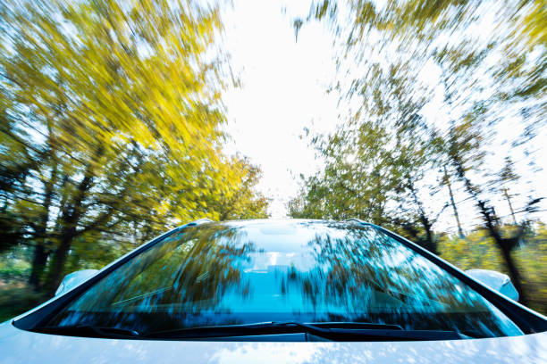 Car driving through the autumn woods