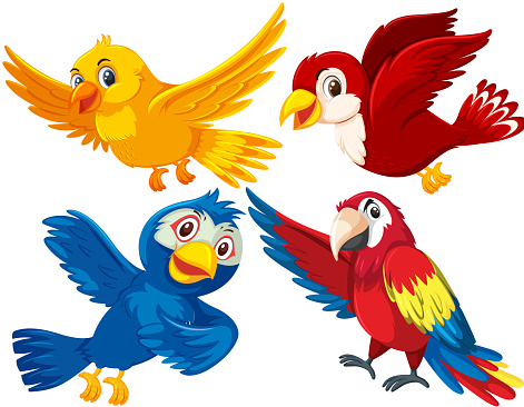 Set of different birds illustration