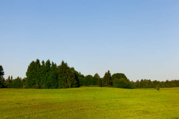 istock hilly area on an agricultural field 1129070807