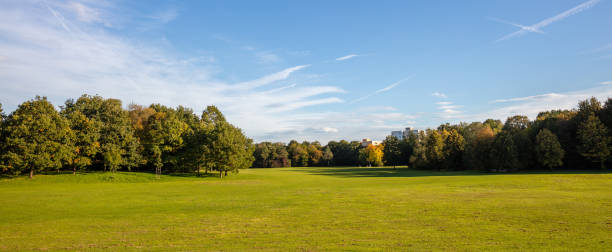 istock Grass field surrounded by forest in Germany. Blue cloudy sky background, banner. 1129071007