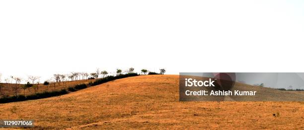 Piece Of Farm Land Resembling To Iconic Wallpaper Of Windows Xp Stock Photo  - Download Image Now - iStock