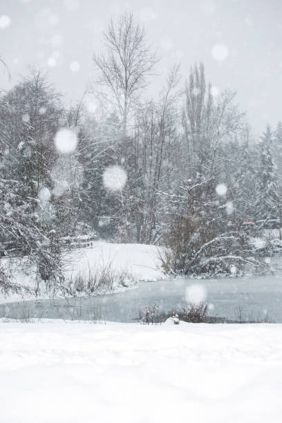 istock Tree in the snow beside a frozen pond - Stock image 1129071164