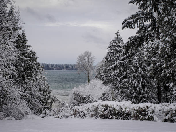 istock Park Along Puget Sound 1129073488