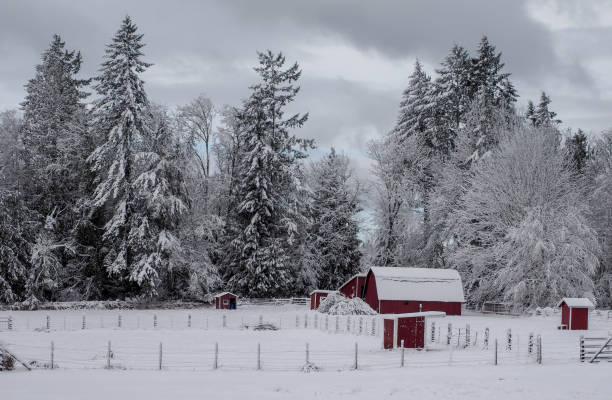 istock Farm After The Snow 1129073498