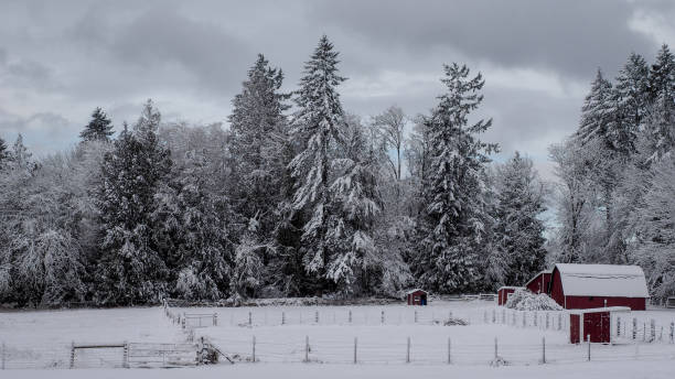 istock Farm After The Snow 1129073502