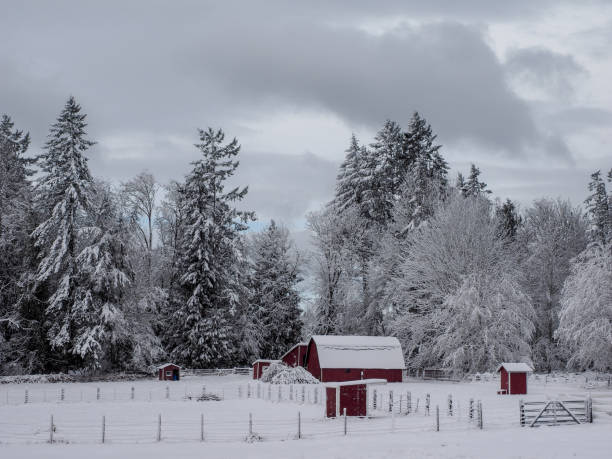 istock Farm After The Snow 1129073503
