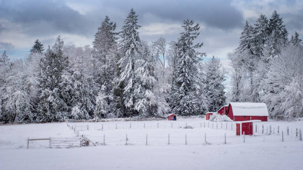 istock Farm After The Snow 1129073520