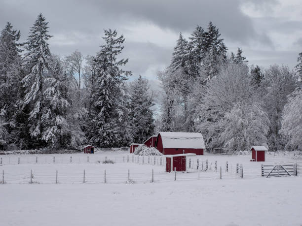 istock Farm After The Snow 1129073524