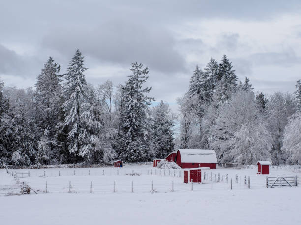 istock Farm After The Snow 1129073539