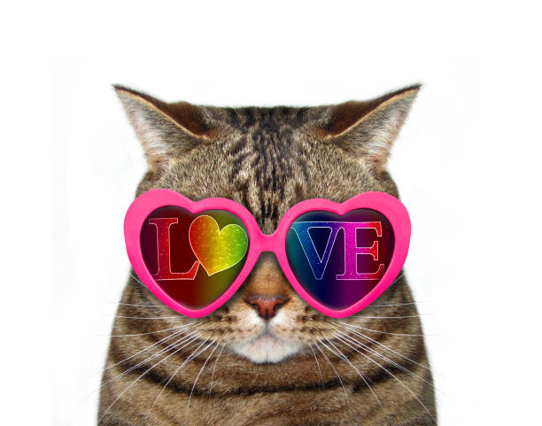 istock Cat wears love sunglasses 2 1129075669