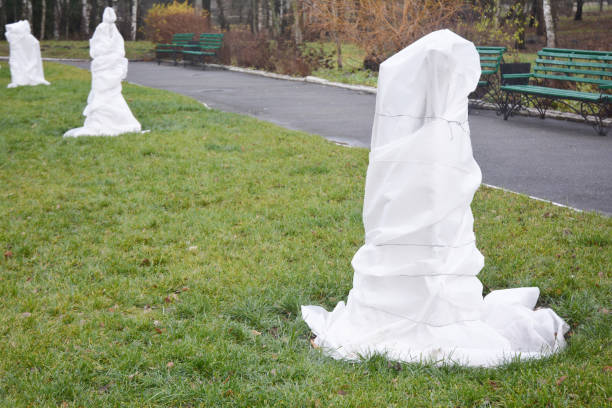 istock Warm shelter tree for winter protection in the garden. 1129076335