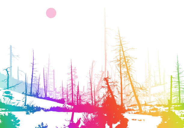 ilustraciones, imágenes clip art, dibujos animados e iconos de stock de arco iris de invierno de fuego forestal - tree branch burnt silhouette