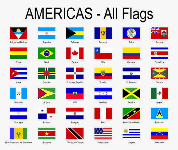 All Americas Flags - Icon Set - Vector Illustration All Americas Flags - Icon Set - Vector Illustration panamanian flag stock illustrations