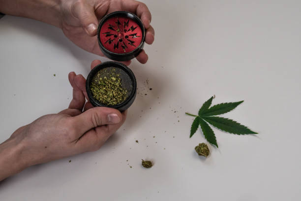 istock The man rolling medical marijuana joint. Marijuana buds, weed, leaf and grinder on white background. Cannabis 1129082473