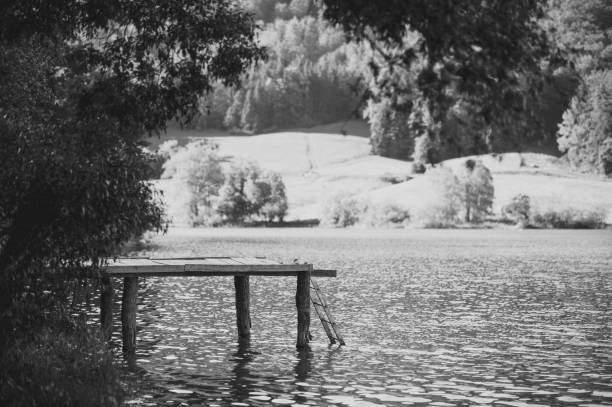 istock Black and white wooden pier on a sunny day 1129084028
