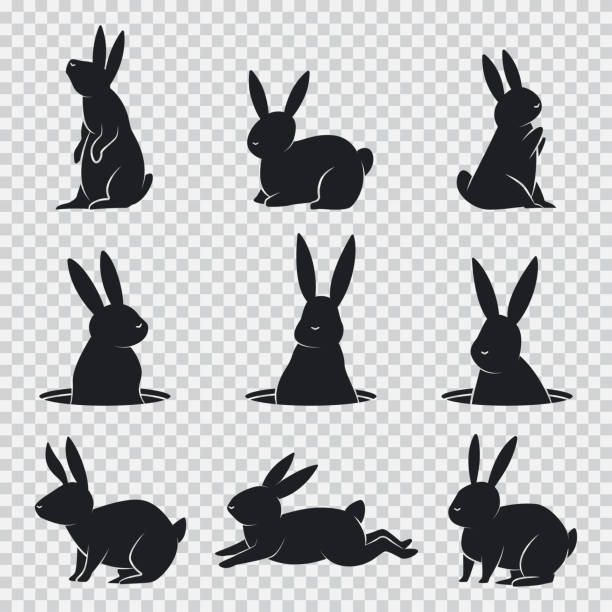 ilustrações, clipart, desenhos animados e ícones de silhueta de coelho preto. coelho de desenho animado vetor definido isolado no fundo transparente. - rabbit livestock pets cartoon