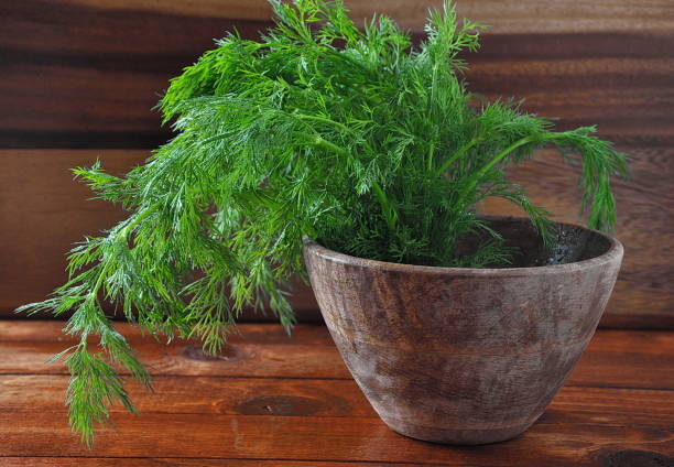 istock Bowl of fresh dill 1129088496