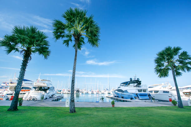 istock Luxury yachts docked in marina 1129088668