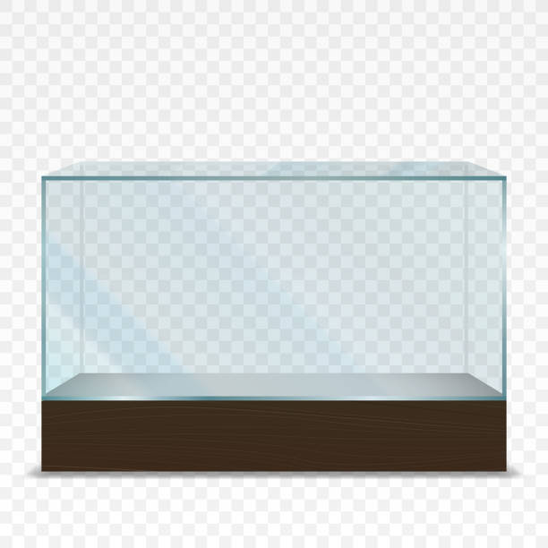 Empty transparent horizontal glass showcase Vector illustration of  transparent horizontal glass showcase on plain backgrounds wood box stock illustrations