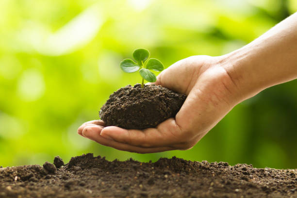 istock Hand holding small plant with soil with green nature background 1129090243