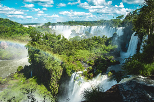 istock Power of Nature 1129095088