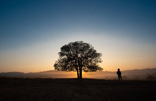 istock Black silhouettes, big trees and a boy in the meadow 1129095818