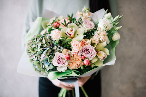 sehr schöne junge frau hält einen schönen blühenden blume blumenstrauß von frischen hortensien, rosen und mattiolas in grün lila und weißen farben auf dem hintergrund der grauen wand - strauß stock-fotos und bilder