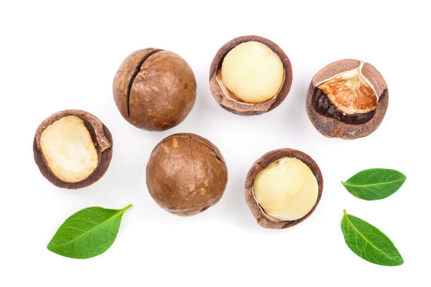 istock Shelled and unshelled macadamia nuts with leaves isolated on white background. Top view. Flat lay pattern 1129101207