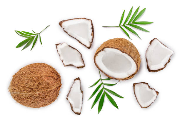 istock coconut with leaves isolated on white background. Top view. Flat lay 1129101251