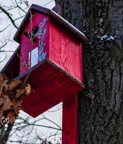 istock birdhouses hanging on a pole in the park 1129103183