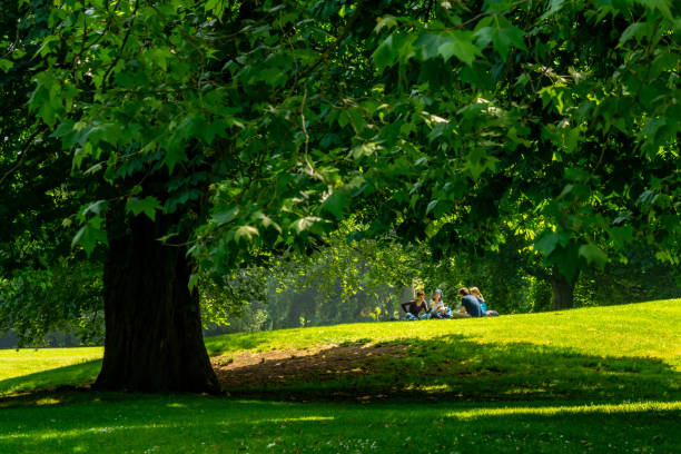 green background
