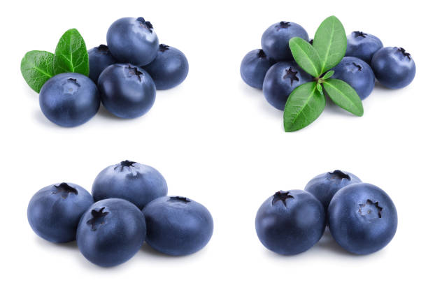 istock fresh blueberry with leaves isolated on white background closeup. Set or collection 1129106108